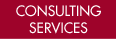 Consulting Services